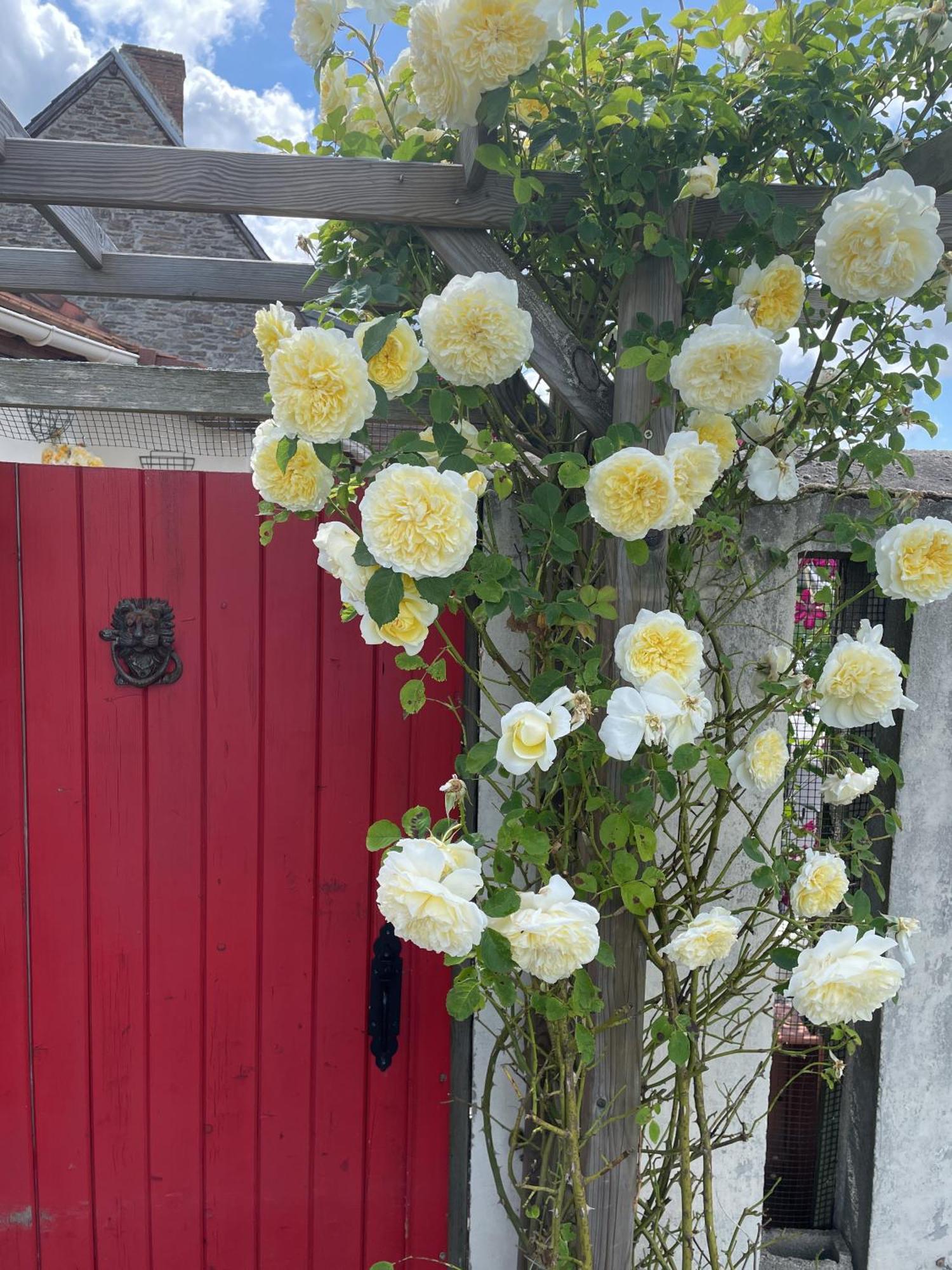 Delightful French Rustic Studio Jumilhac-le-Grand Dış mekan fotoğraf